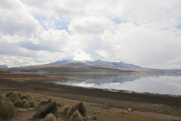 View on Lago Chungara and the volcano Parinacota.