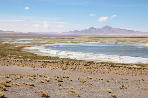 Panoramic view over Salar de Tara.