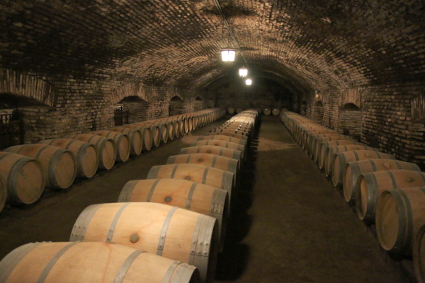 Wine cellar of Conya Y Toro.