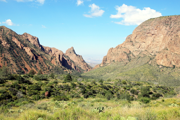 Panoramic view on the landscape of Big Bend National Park.