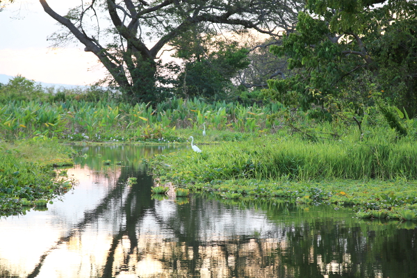 Las Islestas during sunset.