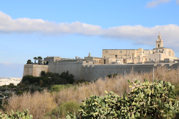 Panoramic view over Mdina.