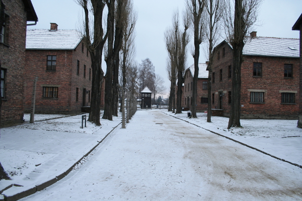 Auschwitz concentration camp.